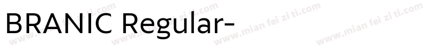BRANIC Regular字体转换